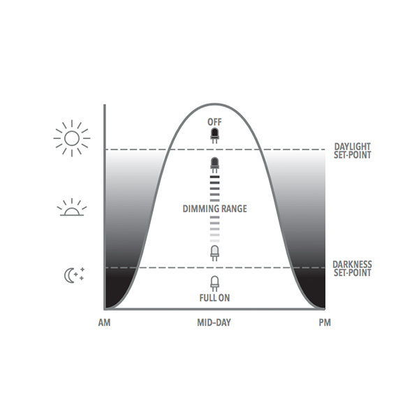 Photosensing WSX D